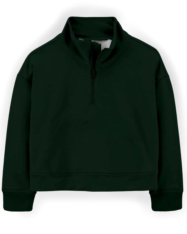 Adult Quarter Zip (Solids)